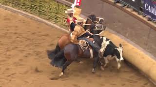 RODEO EN VIVO 36 SERIE CRIADEROS 2018 [upl. by Helali76]