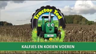 Tractor Ted afl 15  Kalfjes en Koeien voeren [upl. by Allwein]