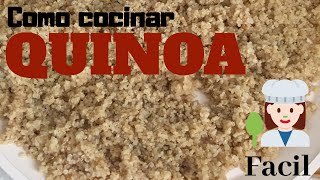 COCINANDO QUINOA  Que tengo en el refri  organización de la nevera  By Visan [upl. by Llenahs]