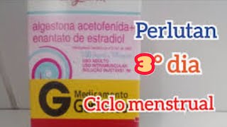 terapia hormonal para mulheres trans com Perlutan aplicação intramuscular 3° aplicação [upl. by Nayhr139]