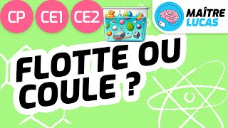 Coule ou flotte  CP  CE1  CE2  Cycle 2  Questionner le monde  Sciences [upl. by Ataynek735]