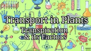 O Level Biology  Transpiration in Plants Factors that Affect Rate of Transpiration [upl. by Aroel160]