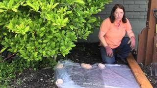 How to Sterilize Soil in the Garden  Grow Guru [upl. by Selena]