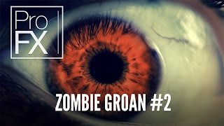 Zombie sound effect 2  ProFX Sound Sound Effects Free Sound Effects [upl. by Jehial]