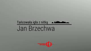 Jan Brzechwa  Tańcowała igła z nitką  Czytanki dla dzieci  Bajki czytane [upl. by Giffard122]