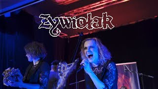 ŻYWIOŁAK  CZARODZIELNICA LIVE [upl. by Olethea]