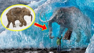 5 FROZEN MAMMOTHS You Wont Believe Were Found ❄️ [upl. by Kaczer125]