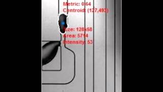 Droplet morphometry and velocimetry DMV a video processing software for timeresolved labelfree [upl. by Rothmuller]