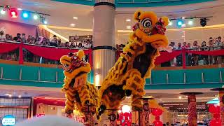 Kwong Ngai 馬來西亞光藝龍獅體育會 Double Lion Acrobatic Lion Dance Performance at Sunway Pyramid for CNY2024 [upl. by Enamart634]