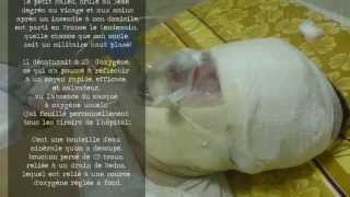 Algerian Hospitals Welcome to Hell [upl. by Tyika621]