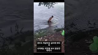 아프리카 부족의 공동체 정신  우분투 아프리카 부족 원주민 공동체 사랑 [upl. by Roselba]