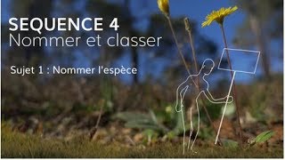 Séquence 4 sujet 1  Nommer l’espèce [upl. by Eedyah74]