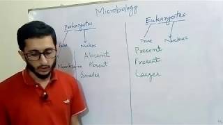 Prokaryotic Vs Eukaryotic Cells in Urdu hindi [upl. by Elaweda]