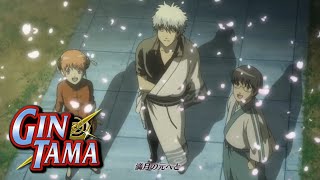 Gintama l Opening 13 [upl. by Los]