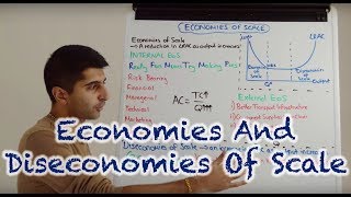 External Economies of Scale I A Level and IB Economics [upl. by Yentterb]