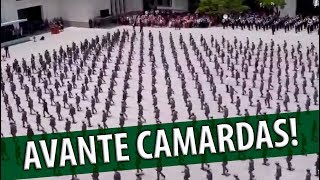 Avante Camaradas [upl. by Anid925]