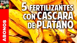 5 fertilizantes con cascara de platano  Potasio  Mas Frutos cosasdeljardin [upl. by Ithnan]