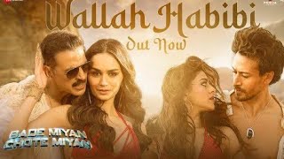 Wallah Habibi  Trending Song  New Song  Lofi ns 29 music trendingsong newsong lofi slowed [upl. by Bor]