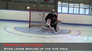 Breakaway Video Goaltending [upl. by Reilamag]