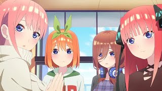 Go Toubun no Hanayome Season 2「AMV 」 Closer [upl. by Negam767]