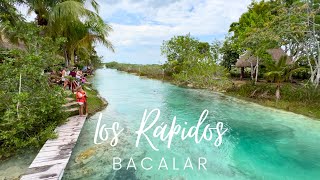 LOS RÁPIDOS De BACALAR Dive into Mexicos Uncharted NATURAL LAZY RIVER [upl. by Divadnhoj]