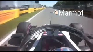 Crash of Romain Grosjean with a marmot before the last turn in FP2 [upl. by Carin38]