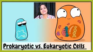 Prokaryotic Vs Eukaryotic Cells  Biology  Prokaryotic and Eukaryotic Cells  Part 1  Biomania [upl. by Ikkaj566]