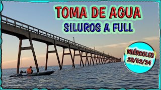 TOMA DE AGUA  SILUROS A FULL  PESCA METAL [upl. by Kcarb72]