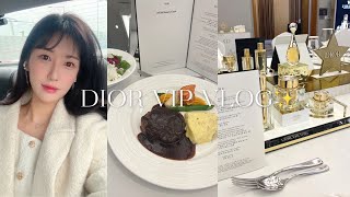 VLOG쫌쫌따리 모아온✨디올VIP 뷰티유튜버의 일상디올 화장품 쇼핑하울💸디올 로드비 뷰티클래스반얀트리 호캉스올영페스타로맨틱민서 [upl. by Yaja]