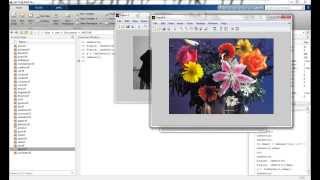 Conversions of images from one format to other using MATLAB [upl. by Arahsat788]