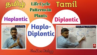 Plant Life cycles English medium profmasoodfuzail  Diplontic life cycle  Haplontic cycle [upl. by Adnaw]