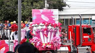 Reina del Carnaval de Barranquilla 2019 [upl. by Ahkeber758]