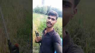 Satane ke manane Ke Din Haiyttirending shortvirelvideo hindisong [upl. by Alliuqa197]