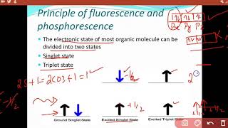 Principle of fluorescence and phosphorescence  LECTURE 17 spectroscopy [upl. by Gabby]