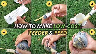 Hand Feeding Baby Birds Canary amp Gouldian Finch 20220313 [upl. by Vod]