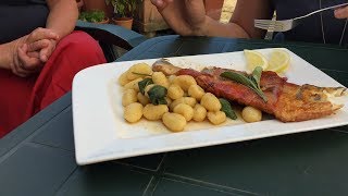 Zander Saltimbocca  HammerRezept ganz einfach zum Nachkochen [upl. by Sokram176]