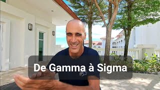 Comment passer de mâle gamma à mâle sigma [upl. by Malva]