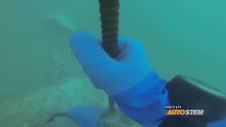 Autostem Underwater Blasting [upl. by Devona]