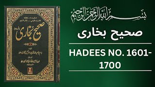 Sahih Bukhari Hadees No 1600 To 1700  Hadees in Urdu  Sahih Bukhari Hadees [upl. by Ahsaeyt]