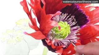 How to paint a realistic poppy centre in watercolor by Anna Mason [upl. by Laud]