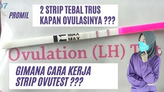 Cara kerja ovutest untuk mengetahui masa subur [upl. by Adaurd537]