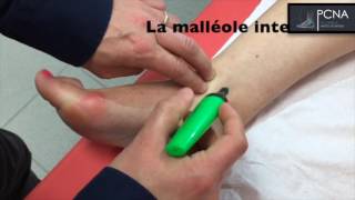 TUTORIEL ANATOMIE CHEVILLE [upl. by Dnilasor]