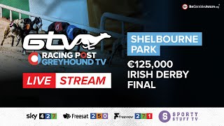 2023 Irish Derby Final  Live Greyhound Racing [upl. by Kip]