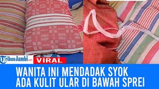 Viral Wanita Kaget Temukan Kulit Ular di Bawah Sprei Saat Ganti Baru [upl. by Narik]