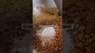 Crunchy Chichacorn Agribusiness How It Works [upl. by Ryann]