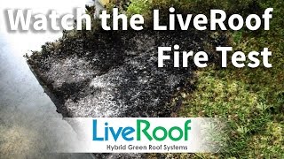 LiveRoof Green Roof Fire Test [upl. by Conger]