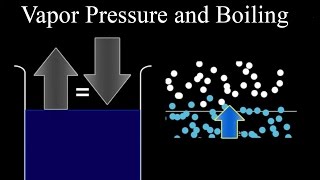 Vapor Pressure and Boiling [upl. by Nodnnarb623]