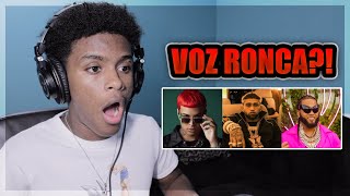 REACCION El Alfa “El Jefe”  QUE LA LAMBAN  Ft Bryant Myers Noriel [upl. by Viviene]