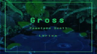 Gross by Penelope Scott  PS3  Lyrics [upl. by Anitselec52]