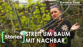 Ärger mit Nachbar Baum kracht in Garten  und niemand räumt´s weg  Kamera Zwei [upl. by Yliab505]